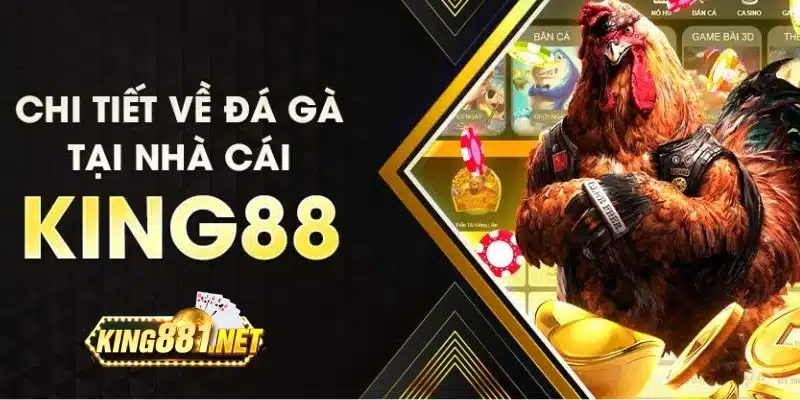 Chuyên mục đá gà King88