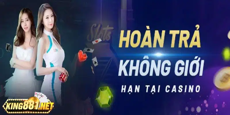 Nội dung chi tiết về chính sách hoàn trả 