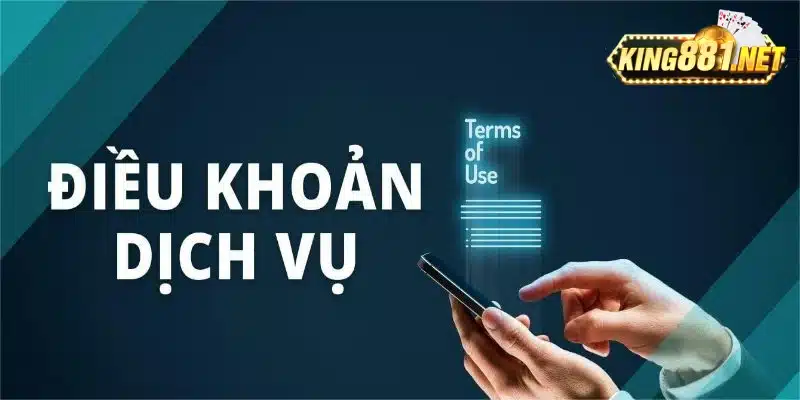 Tổng quan về điều khoản dịch vụ